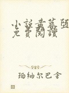 小说黄蓉堕落记免费阅读封面