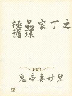 极品家丁之因果循环封面