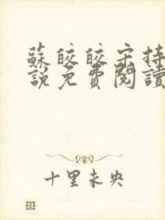 苏皎皎宋持的小说免费阅读封面