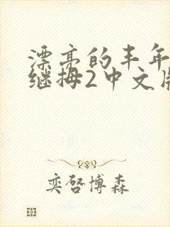 漂亮的丰年经的继拇2中文版