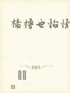 樯橹也怡情封面