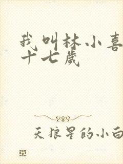 我叫林小喜今年十七岁