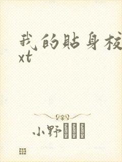 我的贴身校花txt