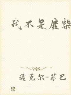 我不是废柴封面