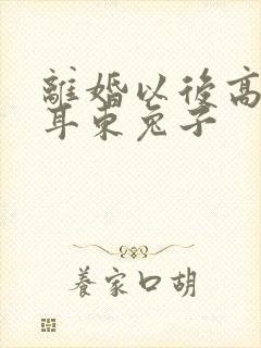 离婚以后高干 耳东兔子封面