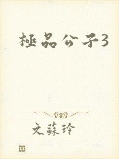 极品公子3