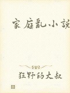 家庭乱小说