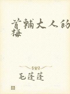 首辅大人的小青梅