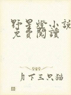 野星灯小说全文免费阅读