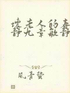 坏老人的春天敏静九章敏静