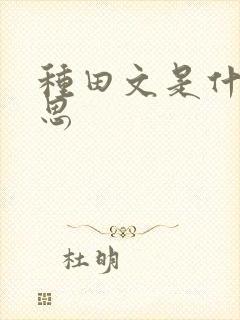 种田文是什么意思