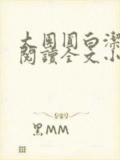 大团圆白洁免费阅读全文小说封面