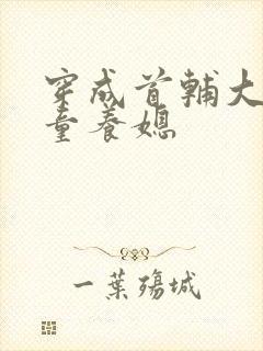 穿成首辅大人的童养媳