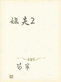 姐夫2封面
