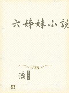 六姊妹小说封面
