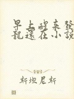 早上醒来发现巨龙还在小说