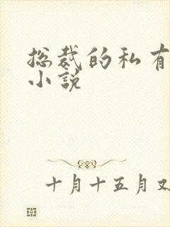 总裁的私有宝贝小说