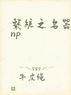 系统之名器攻略np封面