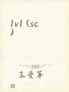 1v1 (sc)封面