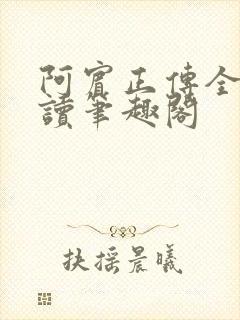 阿宾正传全文阅读笔趣阁封面