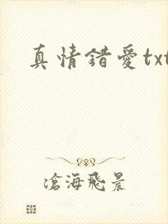 真情错爱txt