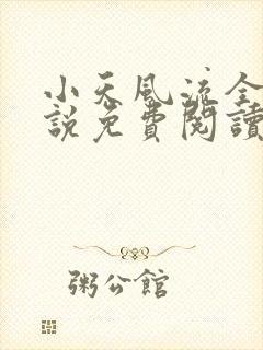 小天风流全集小说免费阅读