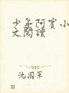 少年阿宾小说全文阅读