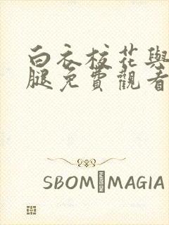 白衣校花与大长腿免费观看电视剧