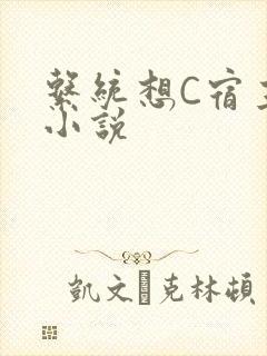 系统想C宿主的小说