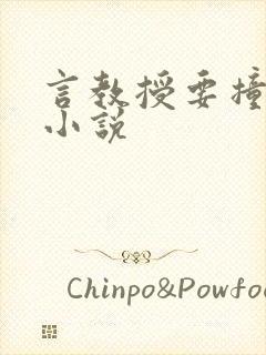 言教授要撞坏了小说封面