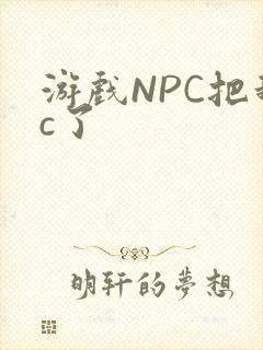游戏NPC把我c了