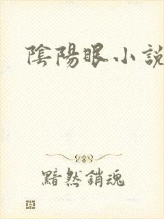 阴阳眼小说封面