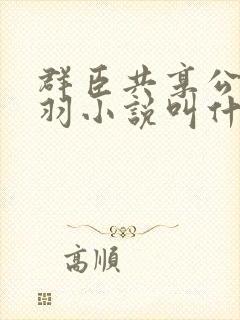 群臣共享公主银羽小说叫什么