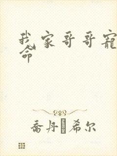 我家哥哥宠妹如命封面