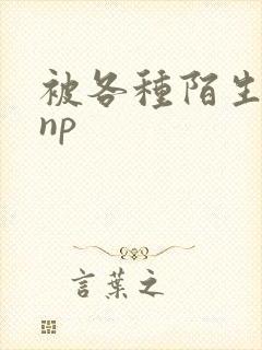 被各种陌生人 np