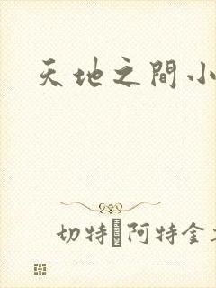 天地之间小说