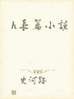 h长篇小说