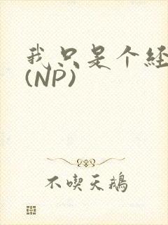 我只是个经纪人(NP)