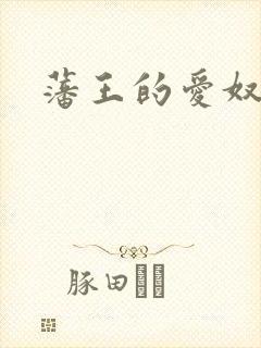 藩王的爱奴