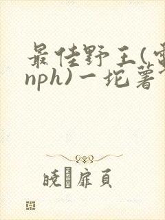 最佳野王(电竞nph)一坨薯饼