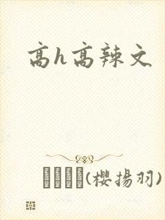 高h高辣文