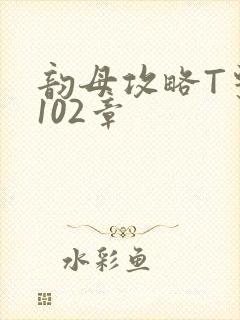 韵母攻略T系列102章封面