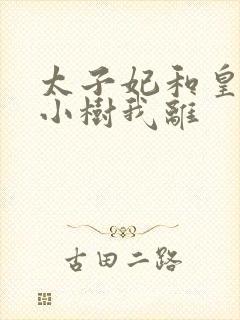 太子妃和皇上在小树我离