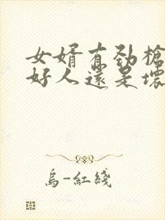 女婿有劲枪枪是好人还是坏人封面