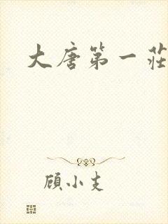 大唐第一庄