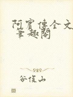 阿宾传全文阅读 笔趣阁
