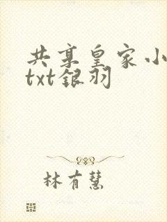 共享皇家小公主txt银羽