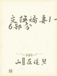 交换娇妻1一36部分