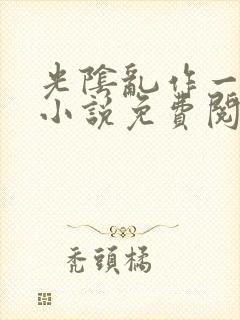 光阴乱作一团的小说免费阅读