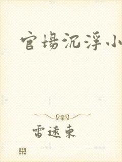 官场沉浮小说封面